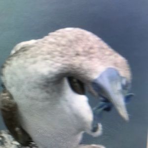 Meet your Posher, Julianna